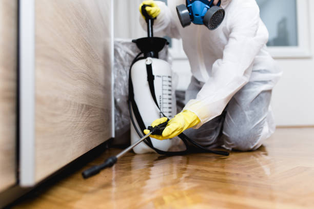 Best Mosquito Control Services  in Raleigh Hills, OR