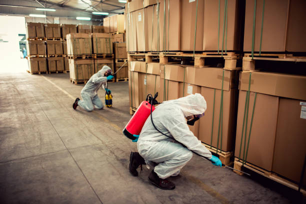 Best Affordable Pest Control Services  in Raleigh Hills, OR