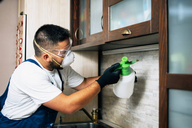Best Cockroach Control Services  in Raleigh Hills, OR