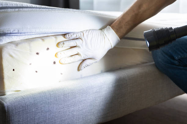Best Affordable Pest Control Services  in Raleigh Hills, OR